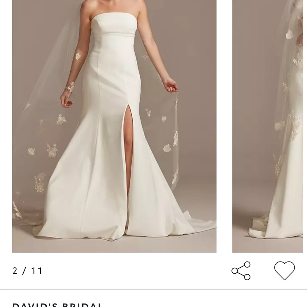 IN SEARCH OF THIS VEIL ******* - Picture 2 of 2